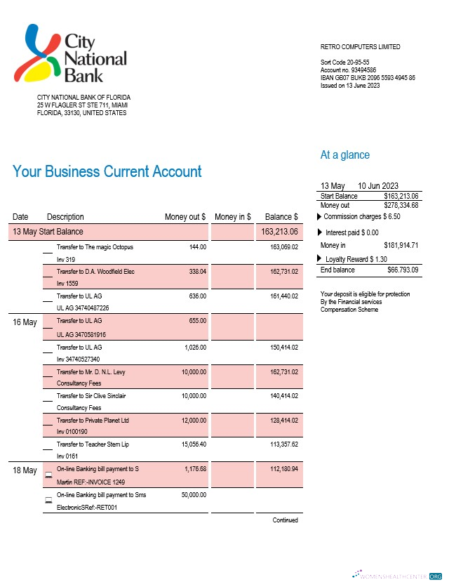 Download City National Bank of Florida firm account statement Word and PDF template Photoshop template